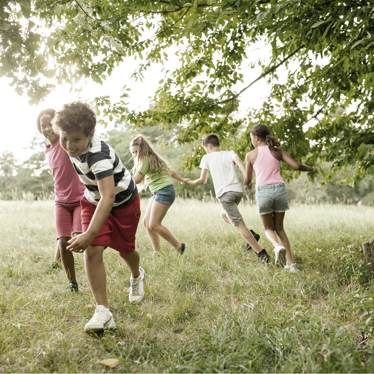 Community Development